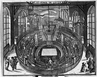 Anatomical theatre of the University of Leiden, end of the 17th century