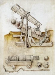 Ball gun and arrow gun