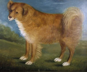 Brown Dog in a Landscape