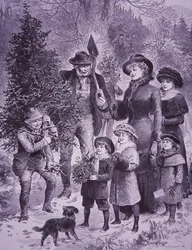 Christmas Tree Seller