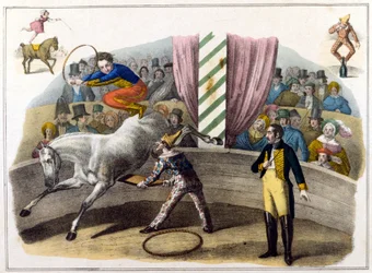 Circus scene, squire doing aerobatics