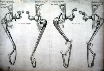 Drawing of horse bits