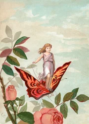 Fairy Riding a Butterfly Among Roses
