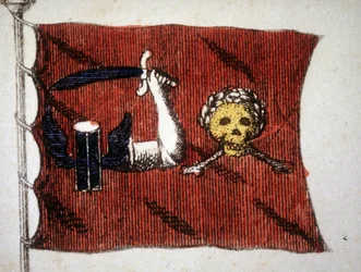 Flag of the Barbarian Pirates