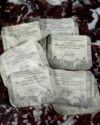 French Revolution: Revolutionary Assignments