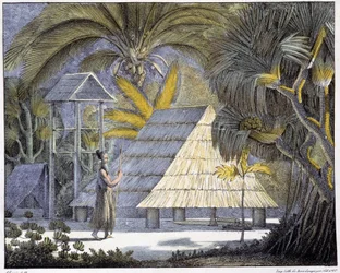 Habitat on the Radak Islands, Marshall Islands archipelago. 19th century engraving.