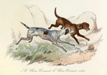 Illustration from the Book 