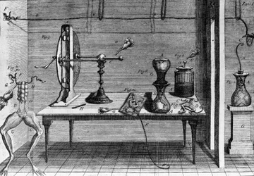 Illustration of experiments by Luigi Galvani, Italian physicist and physician (1737 - 1798) explaining the passage of electric current moving the legs of a frog.