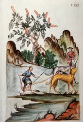 Indians Ploughing a Field with Dogs, from the Book 