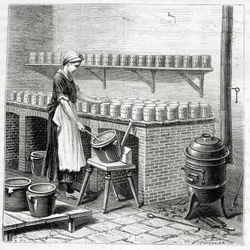 Manufacture of Camembert Cheese (Curd is Poured into Molds) - in 