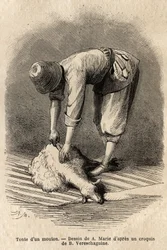 Mowing a sheep by a young Tatar man, in Schusha (Transcaucasia, Russia). Engraving to illustrate the voyage in the provinces of the Caucasus, by Basile Vereschaguine, in 1864-1865, published in 