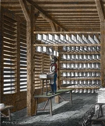 Paper production in the 19th century