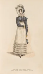 Parisian Carriage Dress