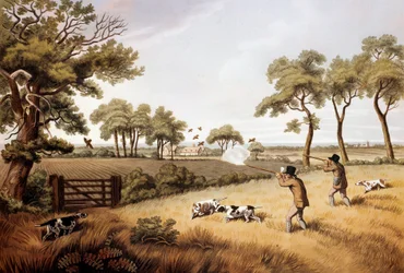 Partridge Hunting Scene