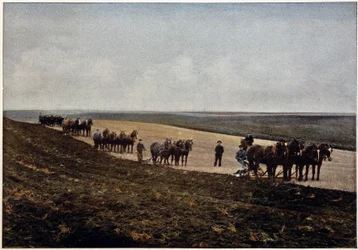 Ploughing in the Manitoba Plains, Canada