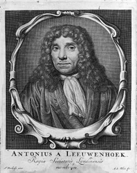 Portrait of the Dutch trader and scholar Antoine van Leeuwenhoek (1632-1723). Engraving from Investigatio Arcanorum 1722