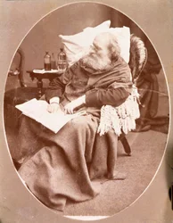 Portrait of Giuseppe Garibaldi in Caprera in 1882