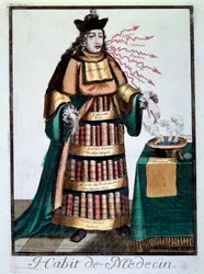 Profession: The Doctor