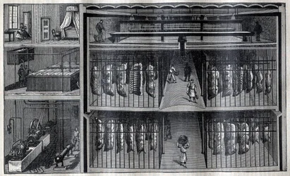 Refrigerated Storerooms for Meat - Engraving from 