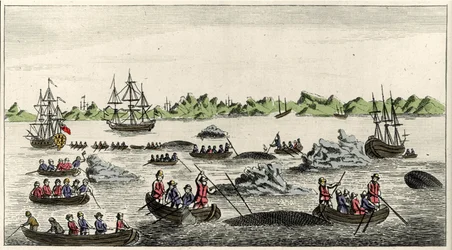 Scene of whale fishing in Greenland in the 18th century, anonymous popular print of the period