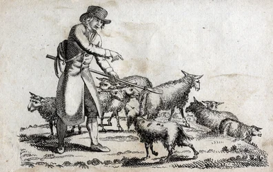 Shepherd with his herd of sheep. Engraving late 18th century. Private collection.