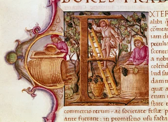 The Harvest
