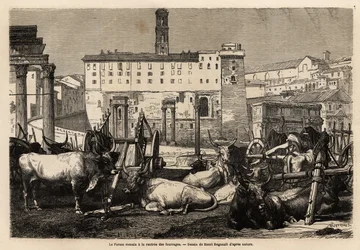 The Roman forum has the rent of fodder, the oxen lie in the middle of carts and ancient ruins. Engraving to illustrate the voyage to Rome