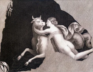 The Abduction of Europa - Engraving
