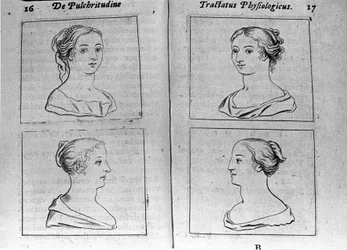 The Different Female Profiles Page Taken from Tractatus Physiologicus de Pulchritudine by Ernesto Venio Defending the Beauty of Creation Against an Anonymous Opponent. 1612