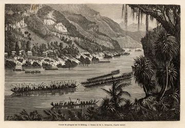 Traditional canoe race on the Mekong River