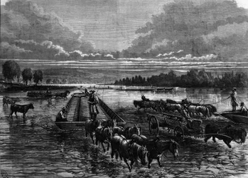 Transportation of oil barrels to Oil Creek, Pennsylvania, USA