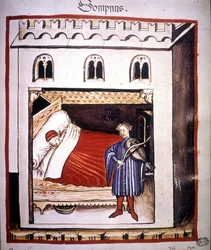 Treatise of Medicine 