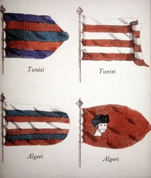 Tunisian and Algerian Flags