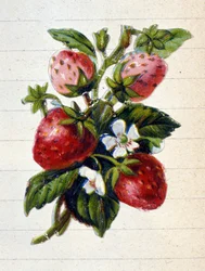 Unknown Image