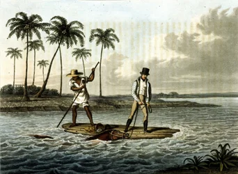Unknown Image