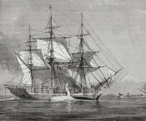 Whalers at Work