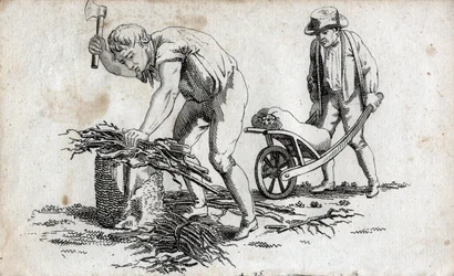 Woodmen making bundles of wood and man carrying bundles on a wheelbarrow