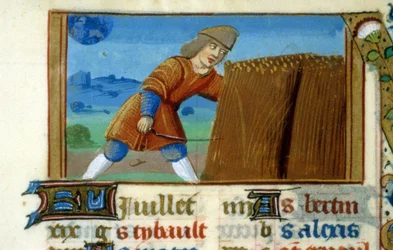Zodiac Lion and Harvest - Miniature of the Middle Ages