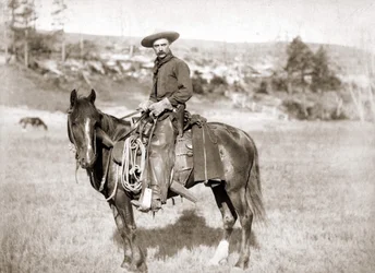 A cowboy on horseback