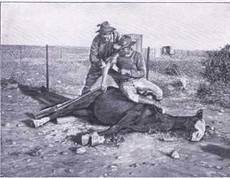 A Narrow Escape, from After Pretoria: The Guerilla War published by Harmsworth Bros Limited