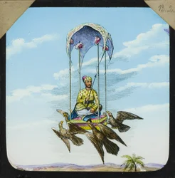 Amazing Flying Machines