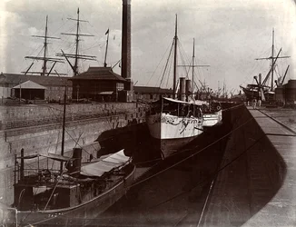 Bombay