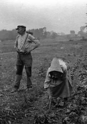 French Peasants Working in the Fields, Somme 1921