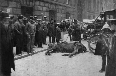 Death of a coupling horse in the streets of Paris. Photography, late 19th century, Paris. Coll. Selva