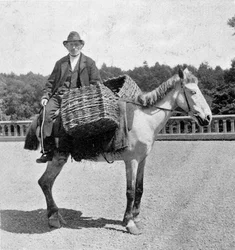 Irish Man on His Horse (19th Century)