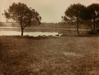 Landscape in the Brijuni Islands