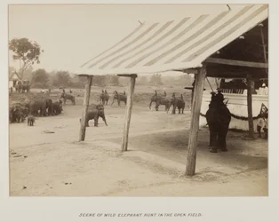 Photograph in photograph album