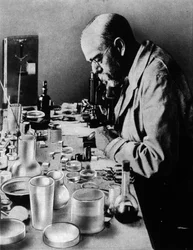 Portrait of the German doctor Robert Koch (1843-1910) in his laboratory