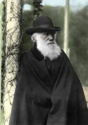 Portrait photograph of Charles Darwin, English naturalist in 1881