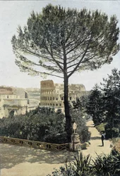 Rome, the Colosseum Seen from the Palatine - Arts Deco